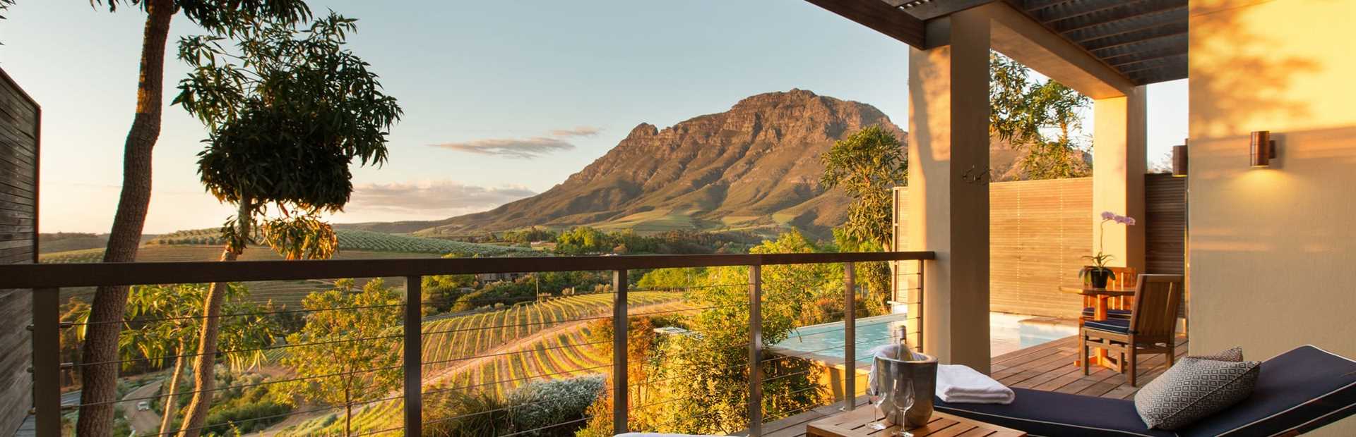 Winelands & Beyond